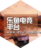 乐鱼体育APP中德合璧 实力可鉴