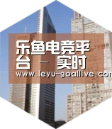 乐鱼体育APP全球战略 立体推广