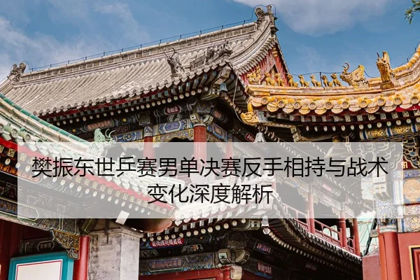 樊振东世乒赛男单决赛反手相持与战术变化深度解析