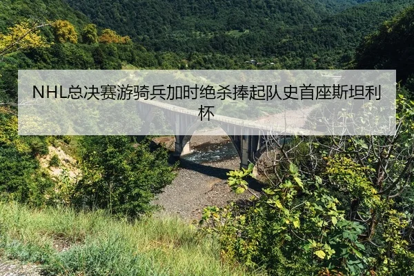 zong-jue-sai-you-qi-bing-jia-shi-jue-sha-peng-qi-dui-shi-shou-zuo-si-tan-li-bei-2-485.jpg