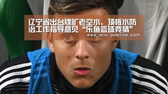 辽宁省出台煤矿老空水、顶板水防治工作指导意见“乐鱼篮球竞猜”