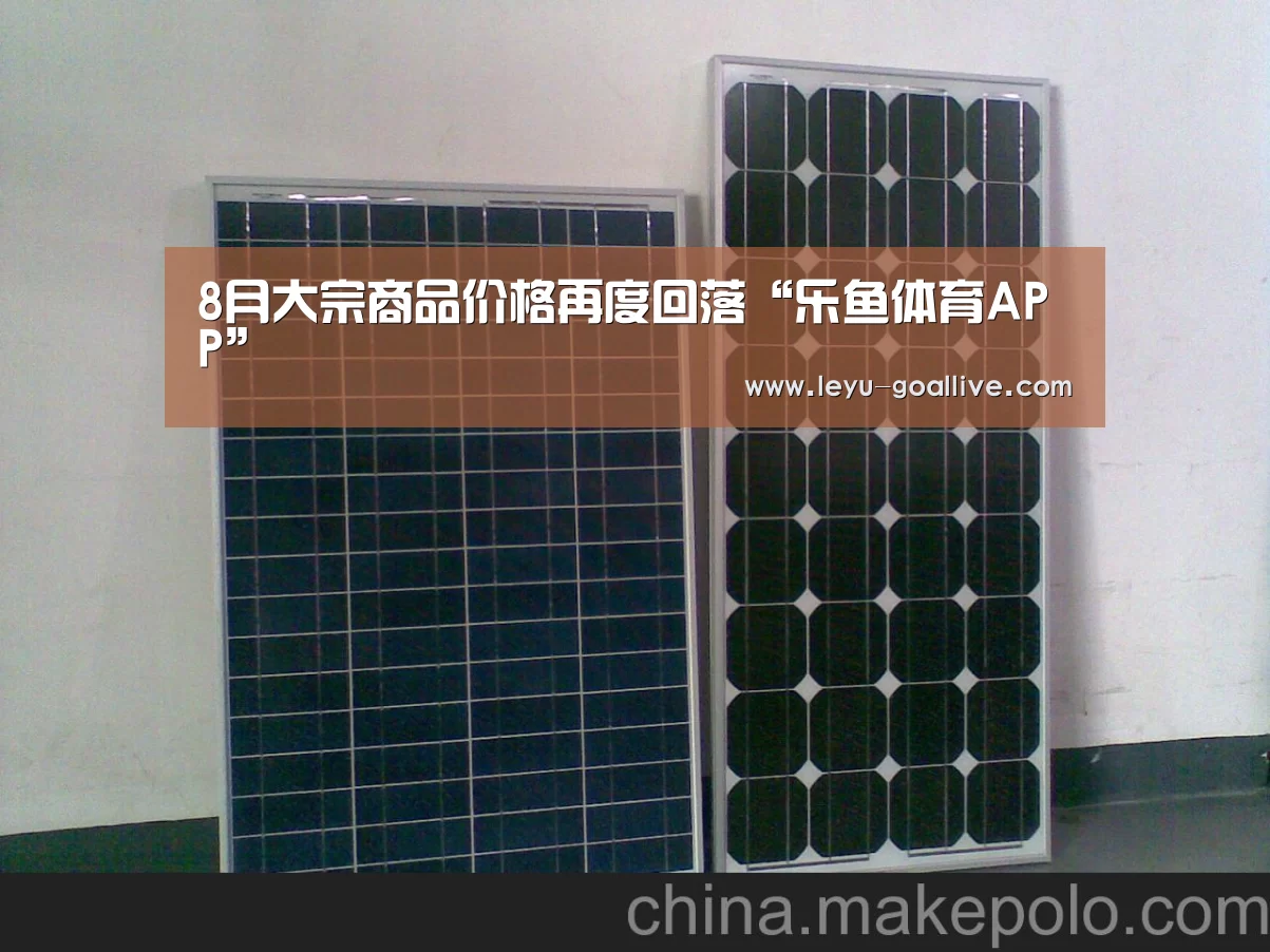 8月大宗商品价格再度回落“乐鱼体育APP”