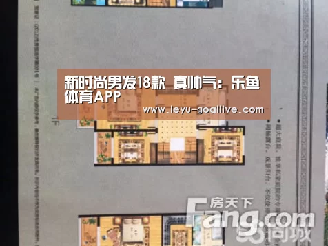 乐鱼官方入口
