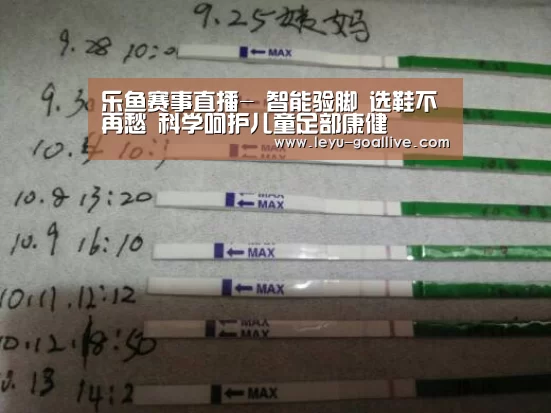 乐鱼体育APP