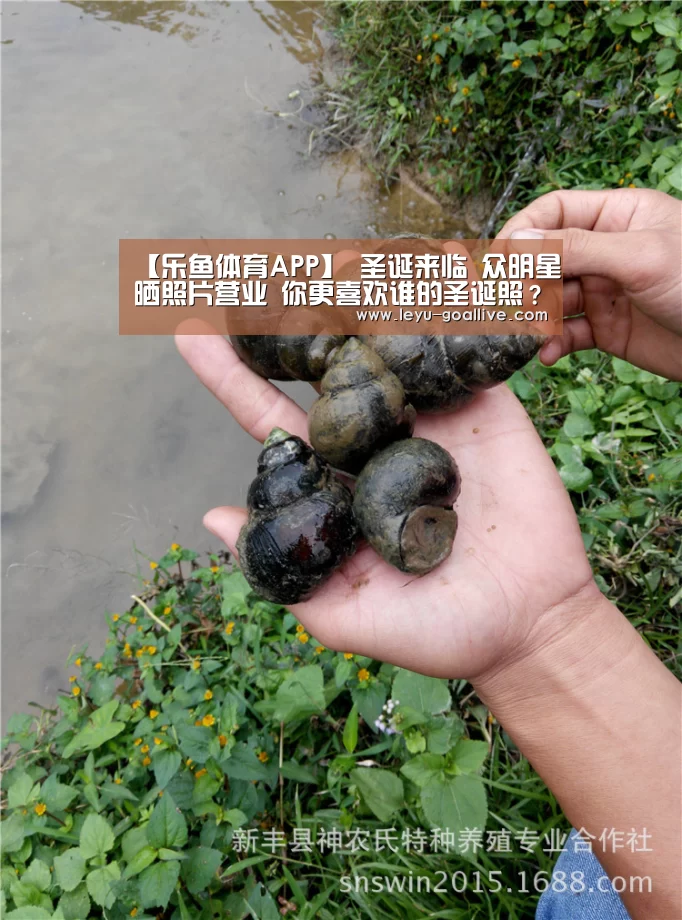 乐鱼赛事直播